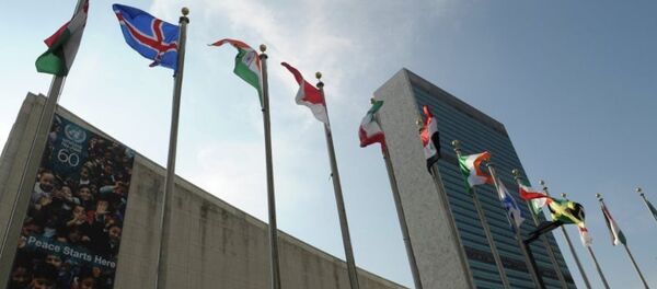 联合国报告员断定对俄制裁未起效果 - 俄罗斯卫星通讯社