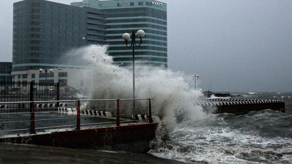 东方经济论坛举办地没有受到台风影响 - 俄罗斯卫星通讯社