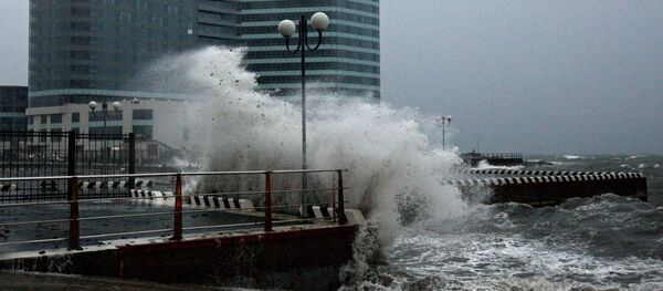 东方经济论坛举办地没有受到台风影响 - 俄罗斯卫星通讯社