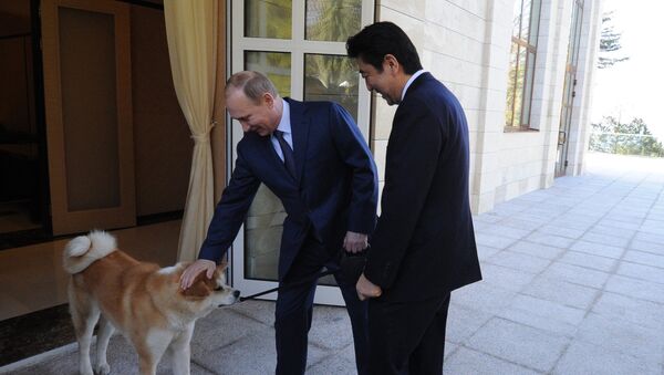 俄方证实日本首相将于四月底五月初访俄 - 俄罗斯卫星通讯社