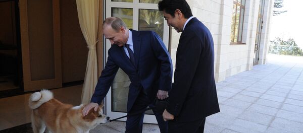 普京访日行程或取消 - 俄罗斯卫星通讯社