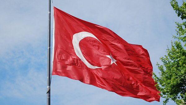 土國防部：土耳其與俄美在敘巴卜地區協調行動 - 俄羅斯衛星通訊社