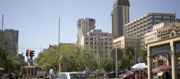 南非 - 俄罗斯卫星通讯社