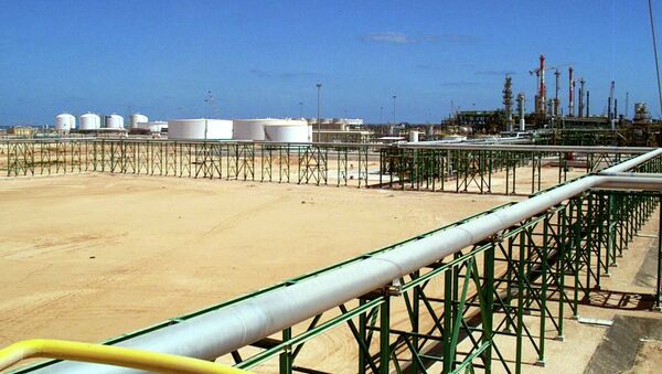 埃及石油部：地中海气田发现后该国将暂停进口天然气 - 俄罗斯卫星通讯社