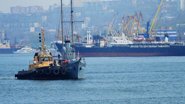 俄政府将讨论关于符拉迪沃斯托克自由港简化签证制度的法案 - 俄罗斯卫星通讯社