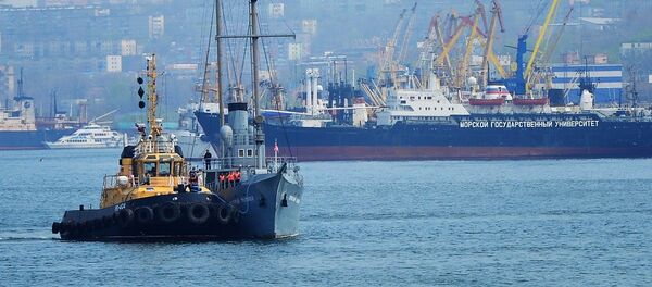 俄政府将讨论关于符拉迪沃斯托克自由港简化签证制度的法案 - 俄罗斯卫星通讯社