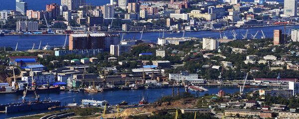 俄官员：当地政府正在讨论俄罗斯岛离岸金融中心工作办法 - 俄罗斯卫星通讯社