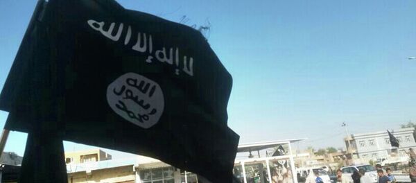 俄外长：欧美与阿拉伯国家清楚必须团结反“伊斯兰国”力量 - 俄罗斯卫星通讯社