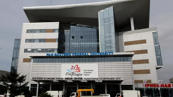 俄遠東發展部將與中國兩家公司簽署建航空產業園的協議 - 俄羅斯衛星通訊社