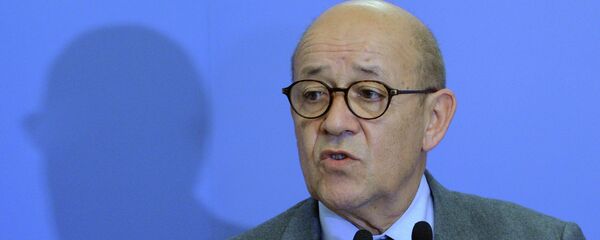 让•伊夫•勒德里昂 - 俄罗斯卫星通讯社