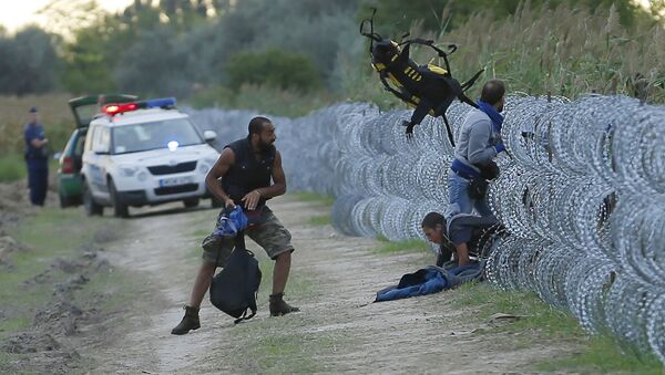 匈牙利總理斥責歐盟移民政策並支持修建隔離牆 - 俄羅斯衛星通訊社