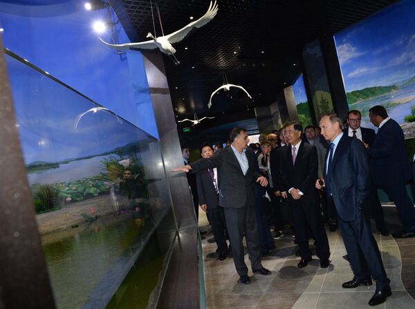 俄羅斯總統弗拉基米爾•普京與中國國務院副總理汪洋參觀俄羅斯島海洋館 - 俄羅斯衛星通訊社