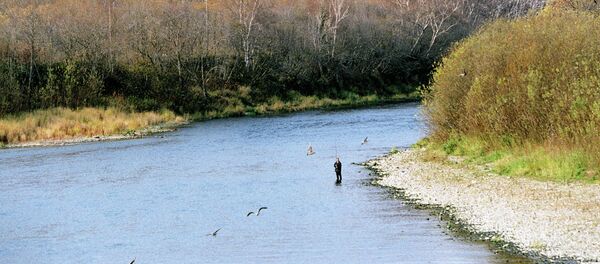 中国游客愿意前往俄远东打猎、钓鱼以及乘坐游轮 - 俄罗斯卫星通讯社