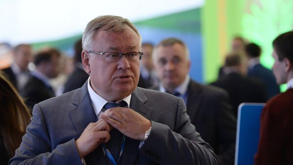 俄罗斯外贸银行计划向外国投资者出售俄水利公司20%的股份 - 俄罗斯卫星通讯社