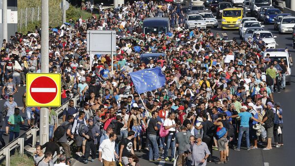 奥地利财长：欧盟无法在未来数月内解决难民危机 - 俄罗斯卫星通讯社