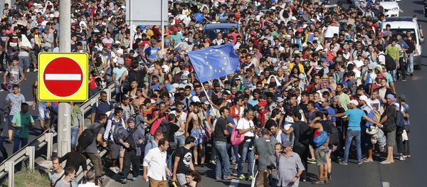 奥地利财长：欧盟无法在未来数月内解决难民危机 - 俄罗斯卫星通讯社