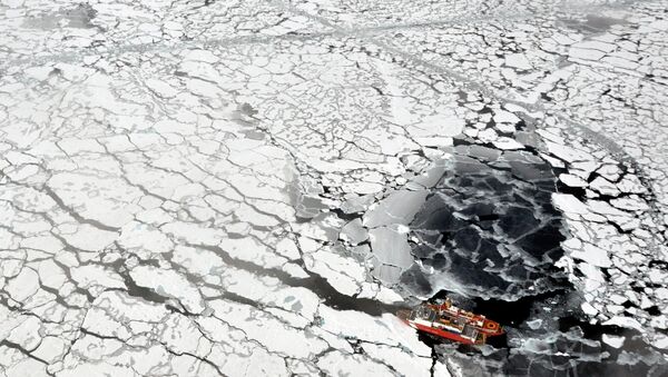 西伯利亚学者证实北极大陆曾在地球上两次出现又解体 - 俄罗斯卫星通讯社