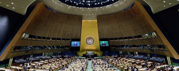联合国大会 - 俄罗斯卫星通讯社