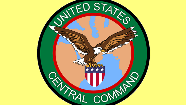 美国中央司令部徽章 - 俄罗斯卫星通讯社