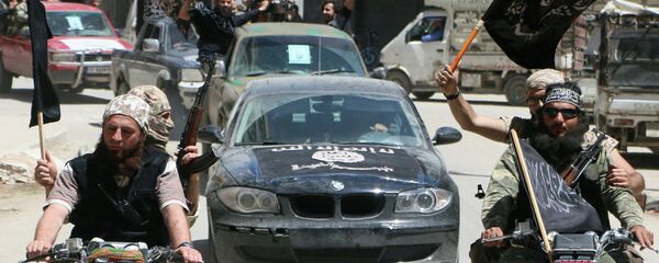 媒体：大量曾离开欧洲的伊斯兰圣战者正在返回 - 俄罗斯卫星通讯社