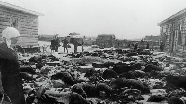 历史学家揭穿希特勒毒瘾很大 历史学家揭穿希特勒毒瘾很大 - 俄罗斯卫星通讯社