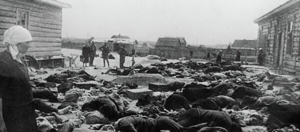 历史学家揭穿希特勒毒瘾很大 - 俄罗斯卫星通讯社