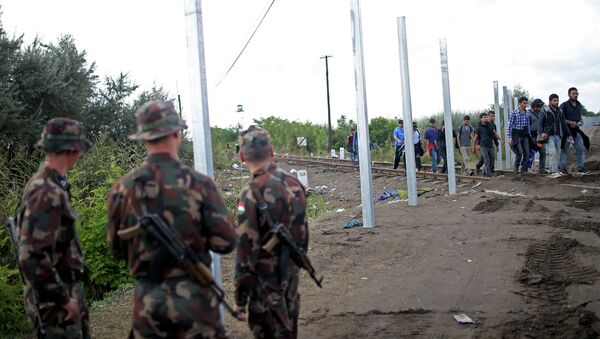 匈牙利向该国与塞尔维亚的边界派出士兵 - 俄罗斯卫星通讯社