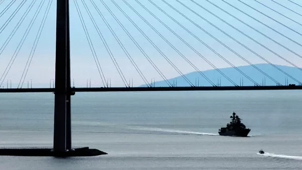 沙特將與埃及建造紅海跨海大橋 - 俄羅斯衛星通訊社