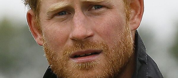 哈里王子將與1000名士兵演練抵抗“俄羅斯入侵”挪威 - 俄羅斯衛星通訊社