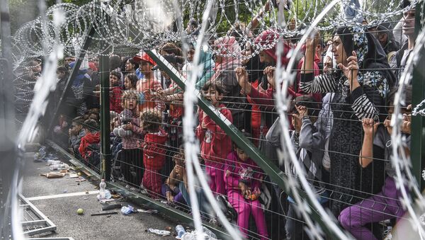 匈牙利總理：匈開始在與克羅地亞邊境修築圍牆 - 俄羅斯衛星通訊社