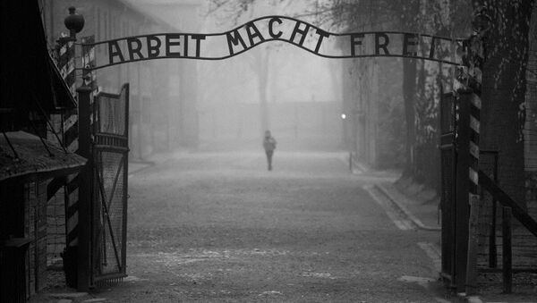 德国政府指控一名91岁的女子参与集中营屠杀 - 俄罗斯卫星通讯社