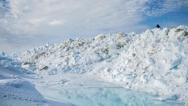 中国外交部：极地的和平稳定与可持续发展符合全人类的共同利益 - 俄罗斯卫星通讯社