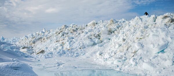 外媒:中国将目光投向北极 外媒:中国将目光投向北极 - 俄罗斯卫星通讯社