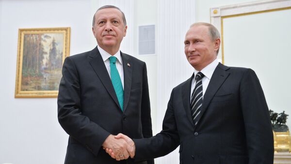 土耳其总统就叙利亚总统访俄成果与普京电话交谈 - 俄罗斯卫星通讯社