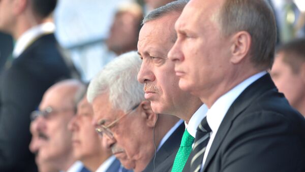 普京确认愿与土耳其合作打击恐怖威胁 - 俄罗斯卫星通讯社
