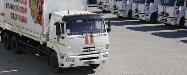 顿巴斯非常需要人道救援物资 - 俄罗斯卫星通讯社