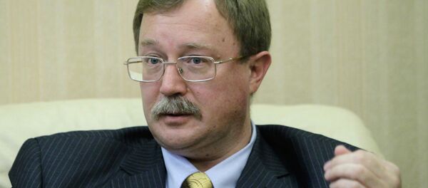 俄外交部：俄將給予敘利亞合法政府適當支持打擊恐怖主義 - 俄羅斯衛星通訊社