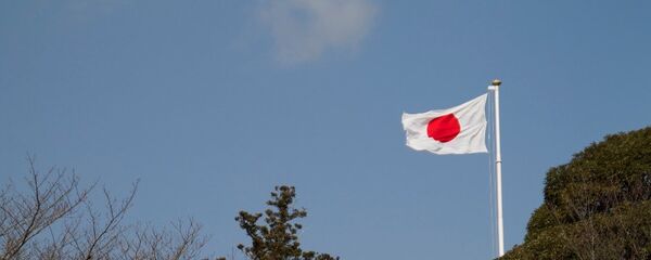 日專家:和平條約有助於日本“走出戰後體制” 日專家:和平條約有助於日本“走出戰後體制” - 俄羅斯衛星通訊社