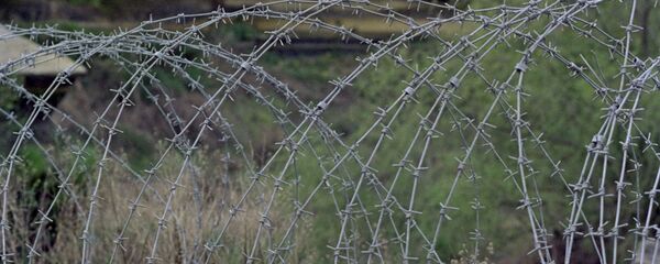 戈兰高地 - 俄罗斯卫星通讯社