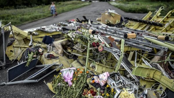 頓涅茨克共和國國防部：荷蘭專家9月28日將赴波音客機在烏失事地點 - 俄羅斯衛星通訊社