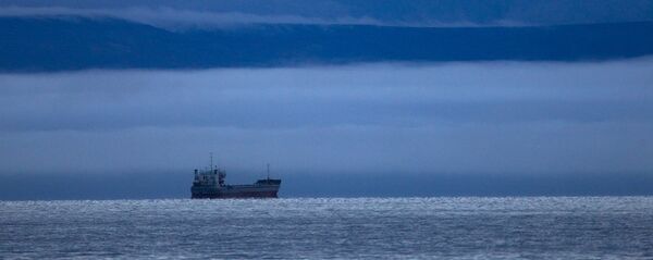 俄方向中國建議參與修建新港口用於中轉北方海路貨物 俄方向中國建議參與修建新港口用於中轉北方海路貨物 - 俄羅斯衛星通訊社