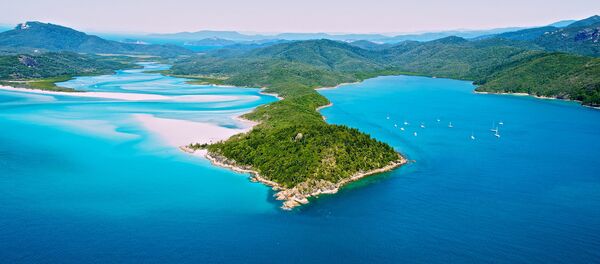 一名澳大利亞女子捕到三條“腿”的魚 - 俄羅斯衛星通訊社