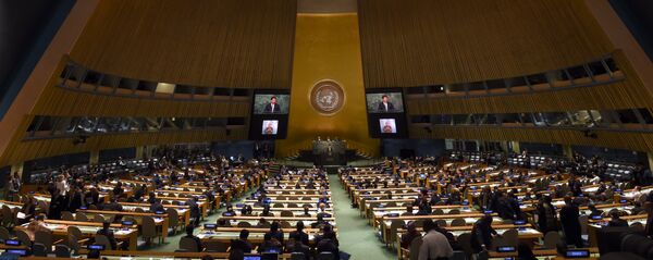 聯合國大會週年紀念會議 - 俄羅斯衛星通訊社