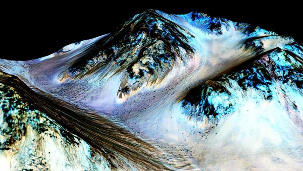 科學家：火星有變暖跡象 - 俄羅斯衛星通訊社