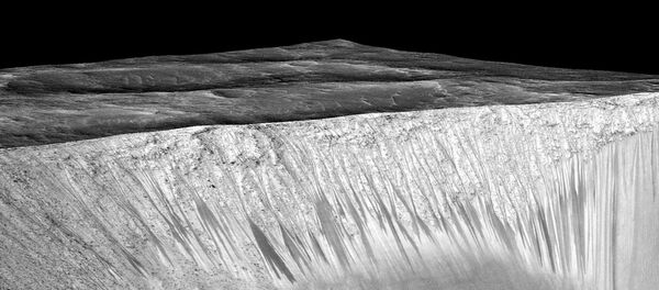 科學家：火星比人們以前想象得危險的多 - 俄羅斯衛星通訊社