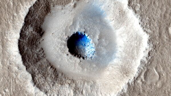 火星发现生命迹象 - 俄罗斯卫星通讯社
