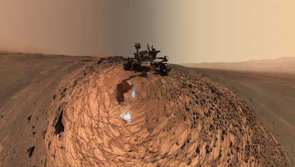 科學家從火星發回的照片中發現類似海貝狀物體 - 俄羅斯衛星通訊社