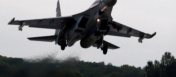 俄總統普京請求聯邦委員會允許在國外動用俄羅斯武裝力量 - 俄羅斯衛星通訊社