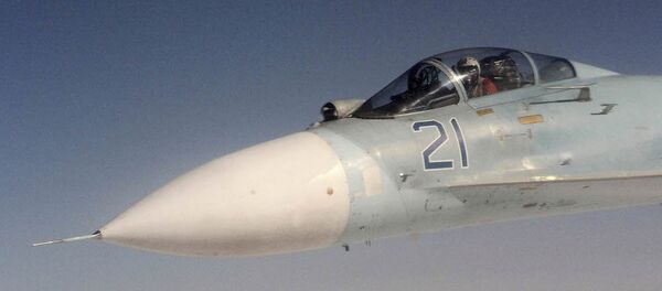 苏27 苏27 - 俄罗斯卫星通讯社