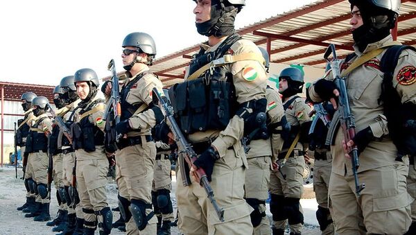 敘庫爾德民兵宣佈支持停火協議 - 俄羅斯衛星通訊社